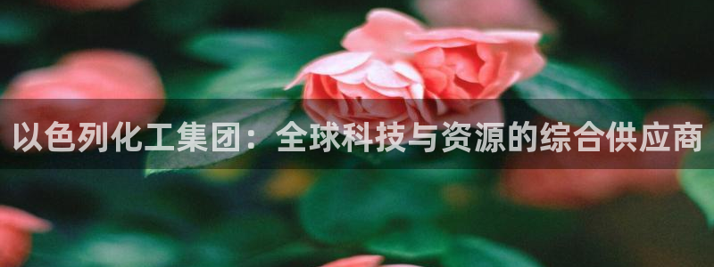 球盟会综合app下载：以色列化工集团：全球科技与资源的综合供