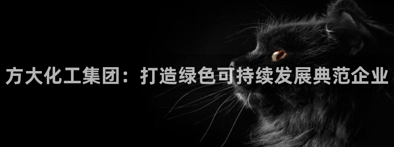 球盟会提款支付宝怎么样：方大化工集团：打造绿色可持续发展典范