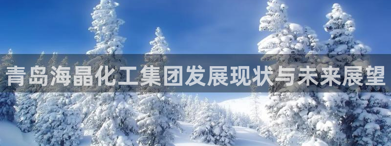 球盟会官方：青岛海晶化工集团发展现状与未来展望