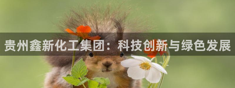 球盟会qmh：贵州鑫新化工集团：科技创新与绿色发展