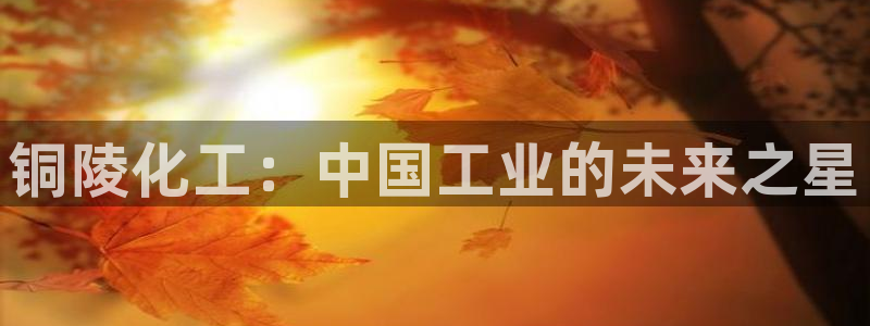 球盟会最新活动：铜陵化工：中国工业的未来之星