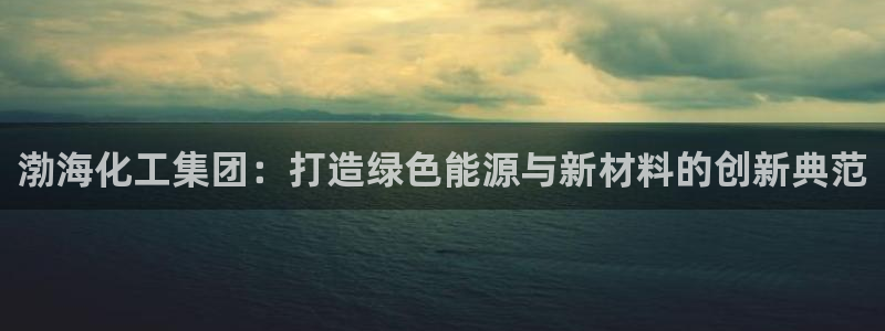 球盟会网页登录入口：渤海化工集团：打造绿色能源与新材料的创新