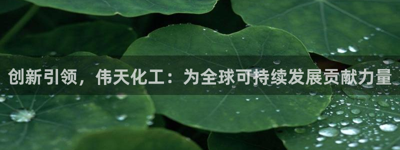 球盟会头号玩家是谁：创新引领，伟天化工：为全球可持续发展贡献