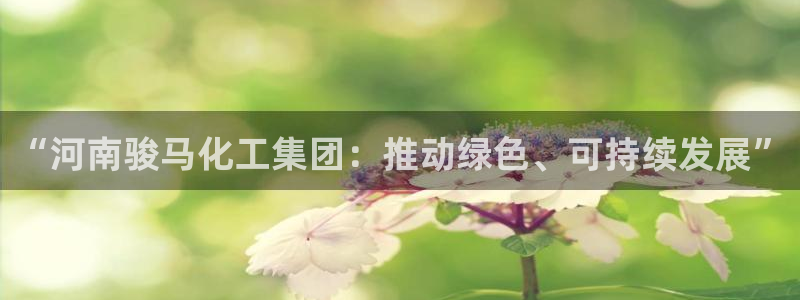 球盟会官网：“河南骏马化工集团：推动绿色、可持续发展”