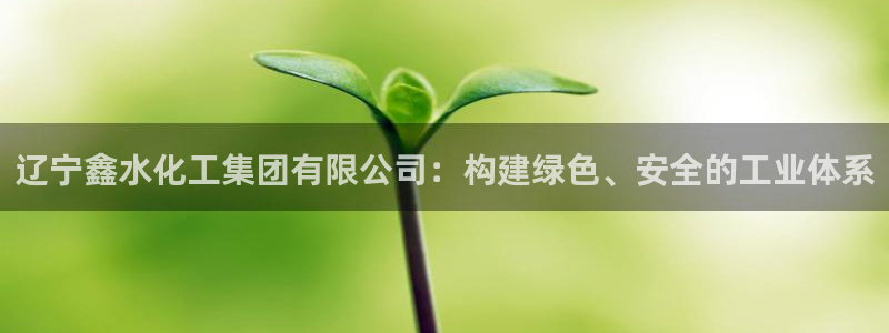 球盟会官方客服：辽宁鑫水化工集团有限公司：构建绿色、安全的工