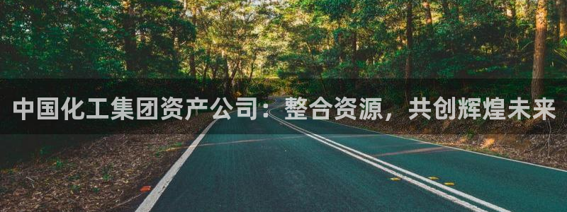 球盟会qm8597：中国化工集团资产公司：整合资源，共创辉煌