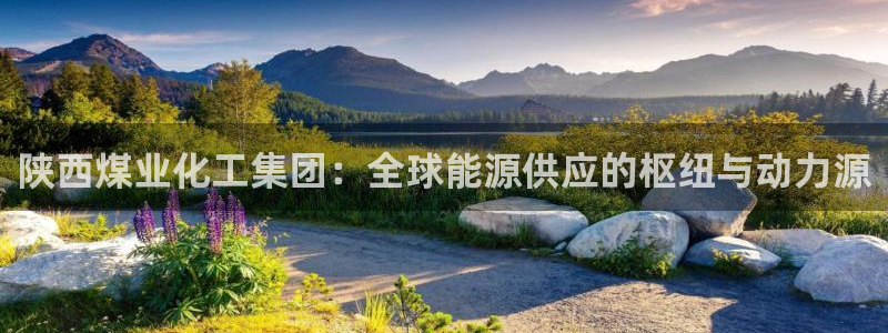 球盟会黑钱：陕西煤业化工集团：全球能源供