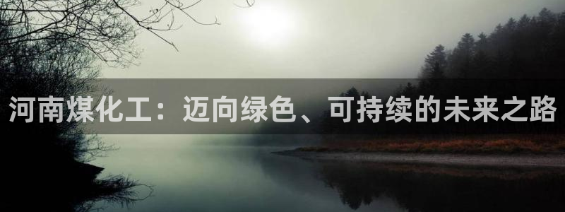 球盟会头号玩家：河南煤化工：迈向绿色、可