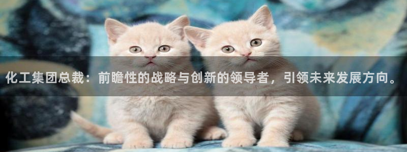 球盟会几点玩合适：化工集团总裁：前瞻性的