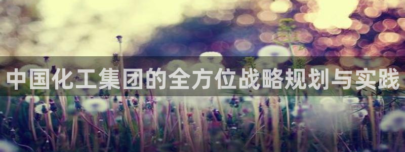 球盟会app最新地址在哪找：中国化工集团的全方位战略规划与实
