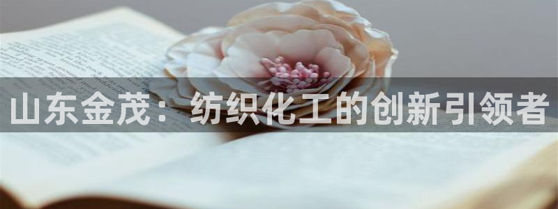 球盟会和中欧