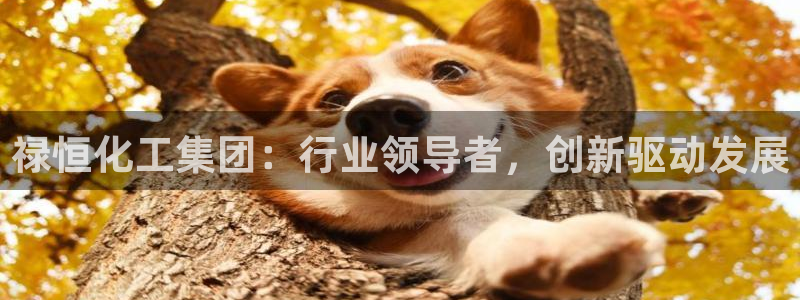 球盟会电子