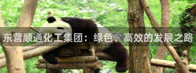 球盟会能提现吗