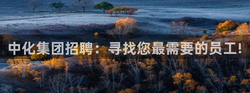 球盟会综合体育平台：中化集团招聘：寻找您