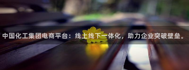 球盟会(中国)官方网站：中国化工集团电商