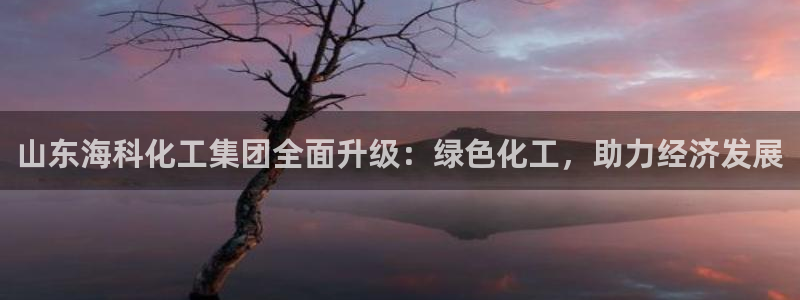 球盟会娱乐平台：山东海科化工集团全面升级：绿色化工，助力经济
