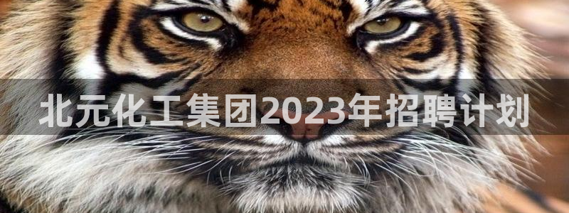 球盟会qmh：北元化工集团2023年招聘计划