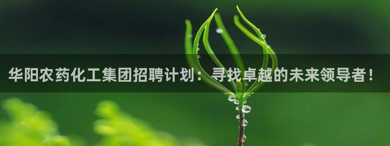 球盟会app最新地址下载安装：华阳农药化工集团招聘计划：寻找