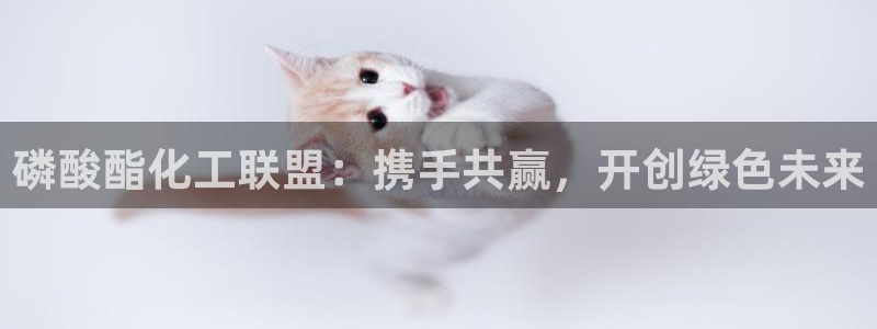 球盟会综合体育平台怎么样：磷酸酯化工联盟：携手共赢，开创绿色