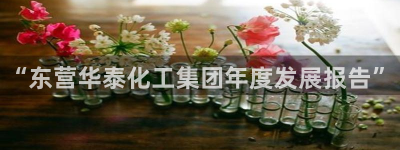 球盟会官方入口