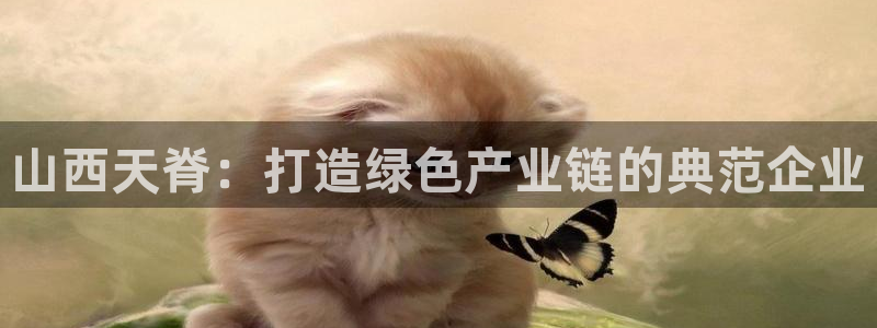 球盟会官网入口