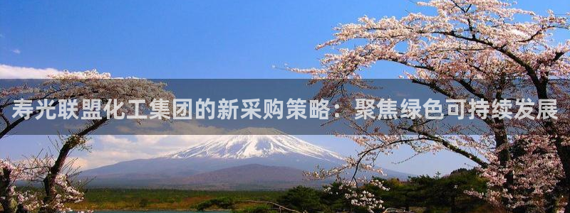 千亿球盟会：寿光联盟化工集团的新采购策略