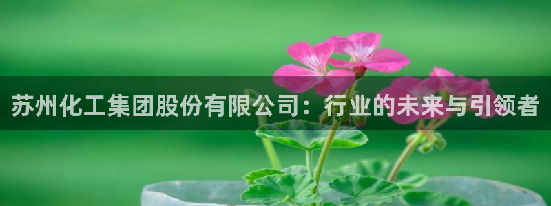 球盟会电子好黑：苏州化工集团股份有限公司