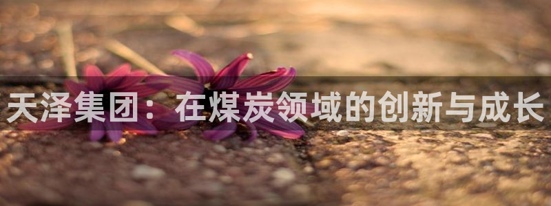 球盟会体育app官方网站