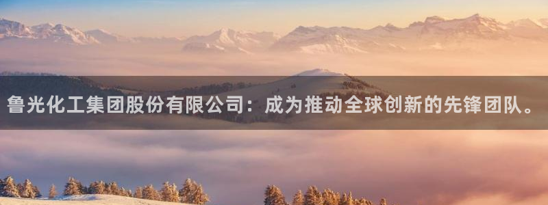 球盟会进不去