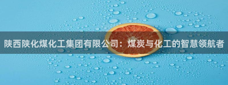 球盟会网页版登陆：陕西陕化煤化工集团有限公司：煤炭与化工的智