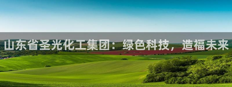 球盟会qm8597：山东省圣光化工集团：