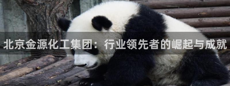 球盟会有没有黑单的