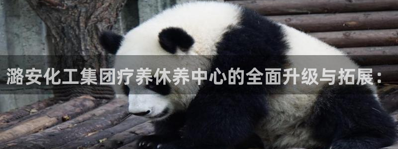 球盟会中国网页登录