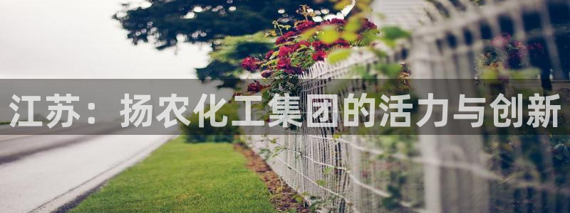 球盟会黑台：江苏：扬农化工集团的活力与创新