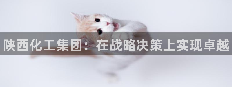 球盟会封禁：陕西化工集团：在战略决策上实现卓越