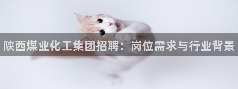 球盟会官方网站是什么：陕西煤业化工集团招聘：岗位需求与行业背