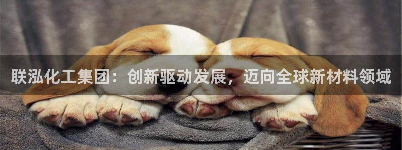 球盟会在线官网：联泓化工集团：创新驱动发