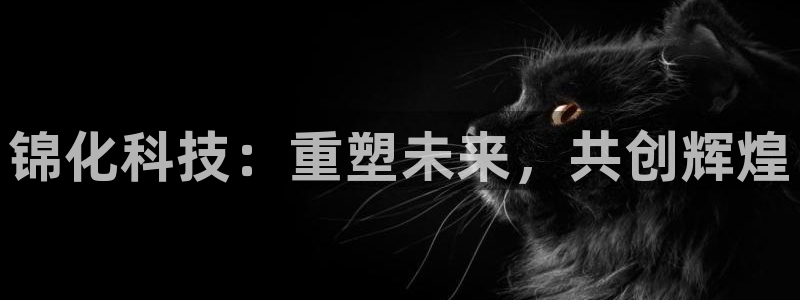 球盟会最新地址备用：锦化科技：重塑未来，共创辉煌