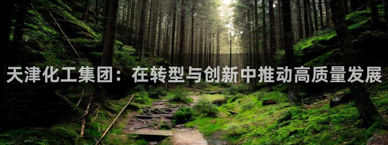 球盟会和中欧会的区别：天津化工集团：在转型与创新中推动高质量