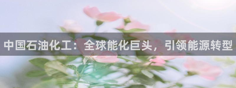 球盟会里面有打牌的嘛