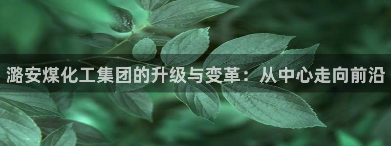 球盟会有没有黑单的：潞安煤化工集团的升级与变革：从中心走向前