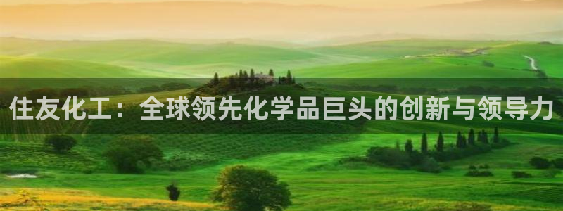 球盟会在线网站：住友化工：全球领先化学品巨头的创新与领导力