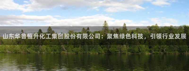 球盟会官方网站是什么：山东华鲁恒升化工集团股份有限公司：聚焦