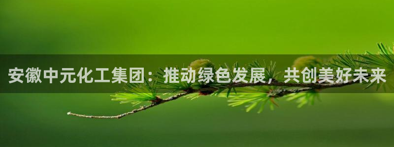 球盟会app最新地址在哪里：安徽中元化工