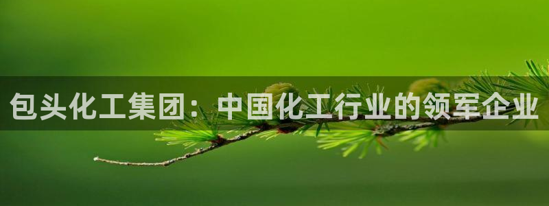 球盟会app最新地址在哪：包头化工集团：中国化工行业的领军企