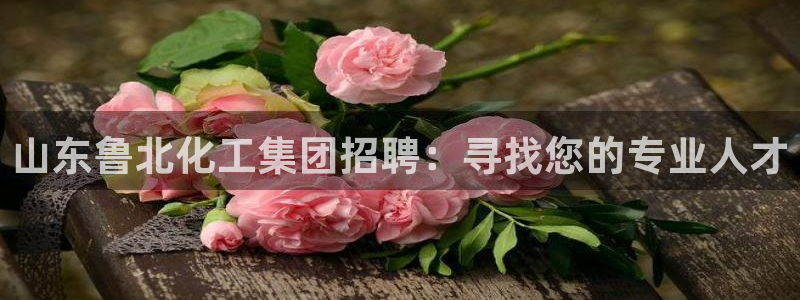 球盟会登录网址：山东鲁北化工集团招聘：寻找您的专业人才