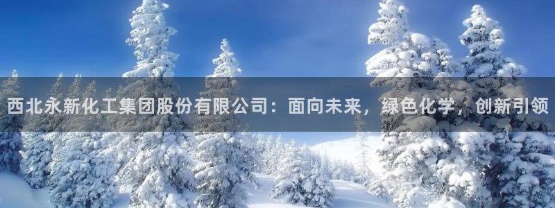 球盟会综合体育平台：西北永新化工集团股份有限公司：面向未来，