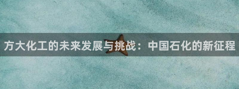 球盟会综合体育平台怎么样：方大化工的未来发展与挑战：中国石化