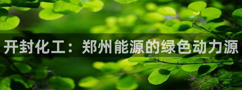 球盟会综合体育平台怎么样：开封化工：郑州能源的绿色动力源