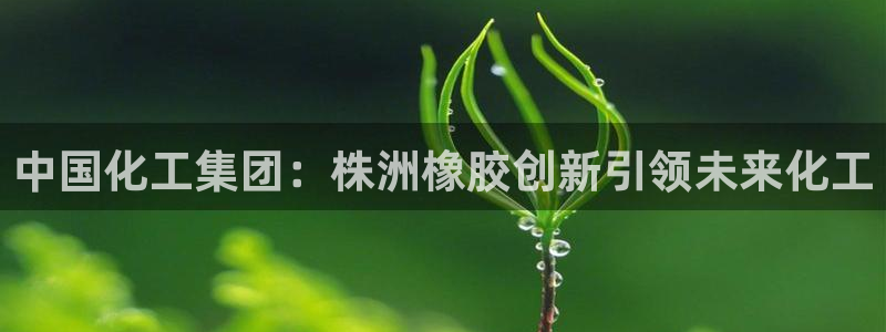 球盟会登录网址